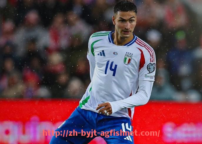 AG捕鱼王官网-法甲球队运营模式及财务管理案例研究