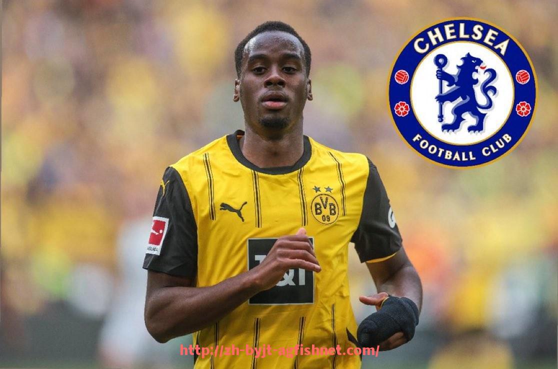 AG捕鱼王官网-法甲赛事直播数据分析:用户行为与传播效率的关系