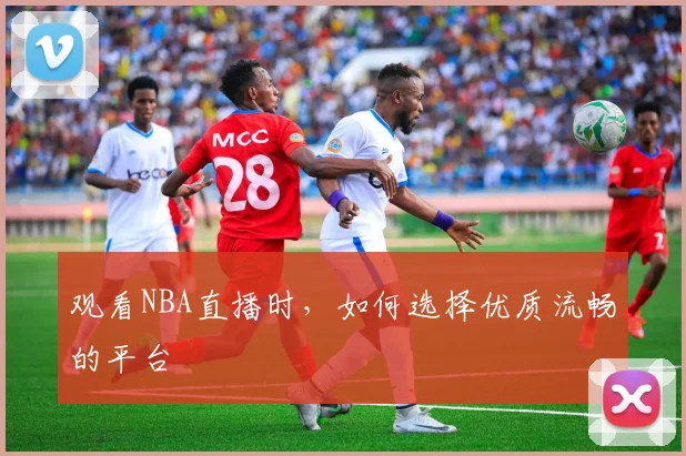 观看NBA直播时，如何选择优质流畅的平台