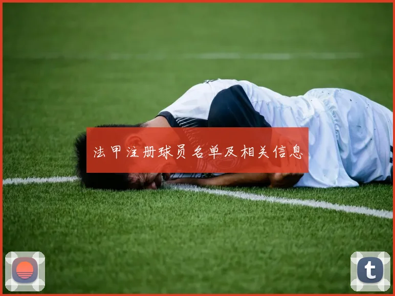 法甲注册球员名单及相关信息