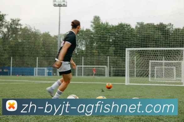 数据防护可视化